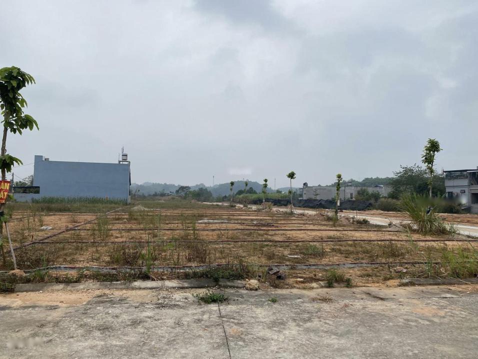 3680413 ảnh đại diện 2