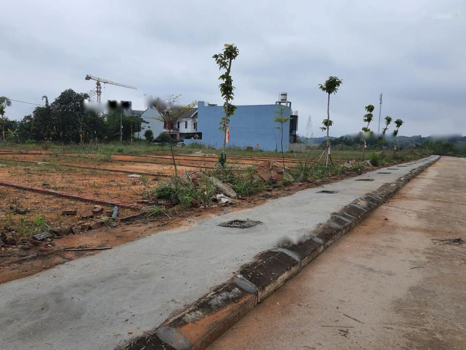 3680382 ảnh đại diện 1