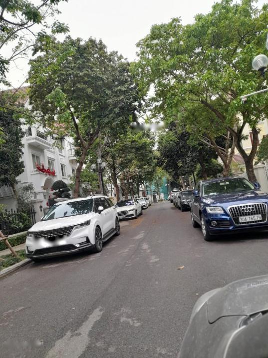 3680777 ảnh đại diện 1