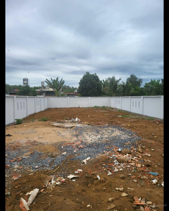 3683353 ảnh đại diện 2