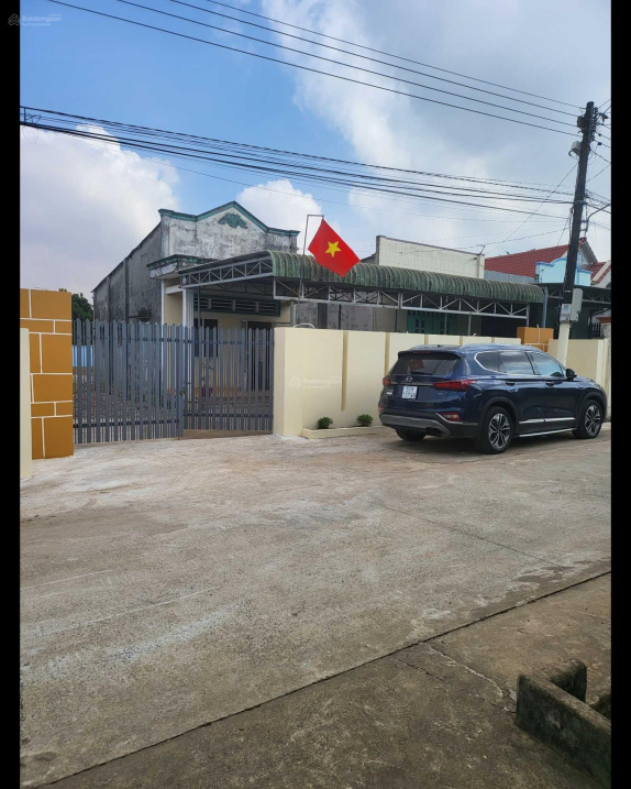 3683353 ảnh đại diện 1