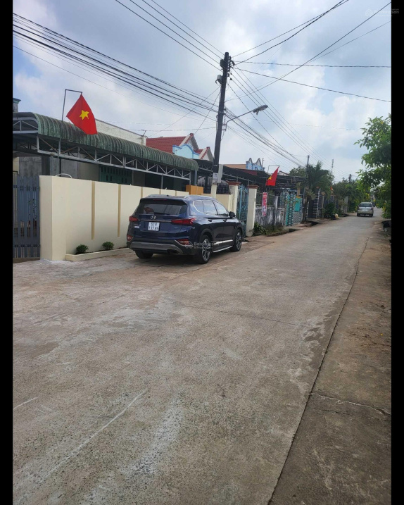 3683353 ảnh đại diện 1