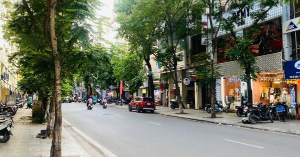 3682993 ảnh đại diện 1
