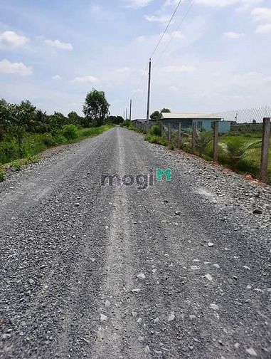 3685376 ảnh đại diện 1