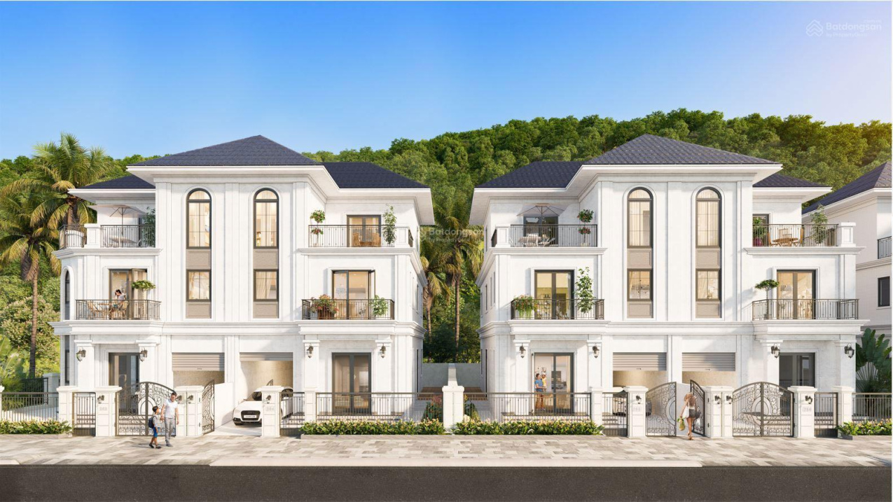3683631 ảnh đại diện 1