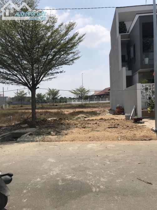 3683994 ảnh đại diện 1