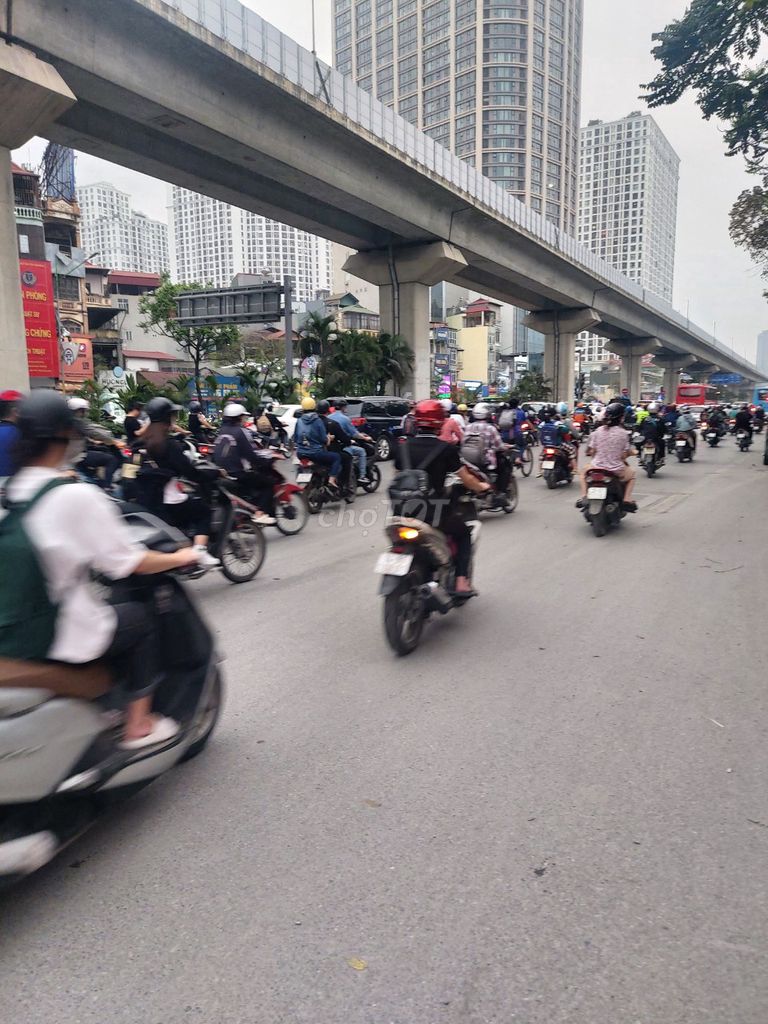 3686126 ảnh đại diện 1