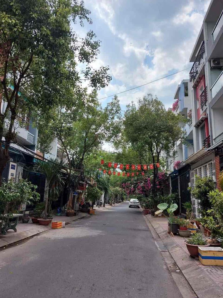 3684631 ảnh đại diện 2