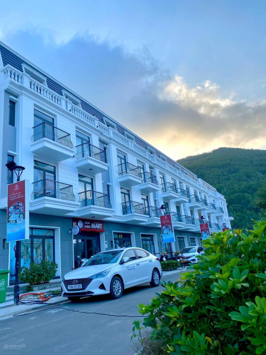 3683638 ảnh đại diện 2
