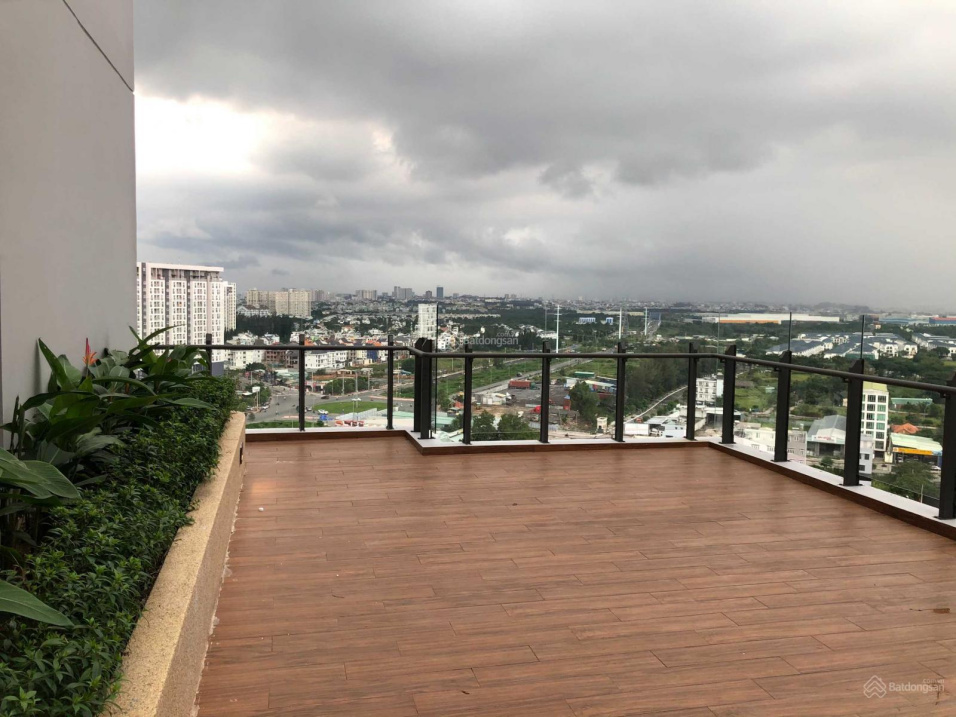 3685753 ảnh đại diện 2