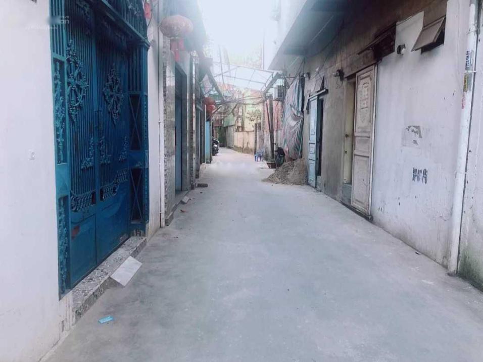 3688309 ảnh đại diện 1