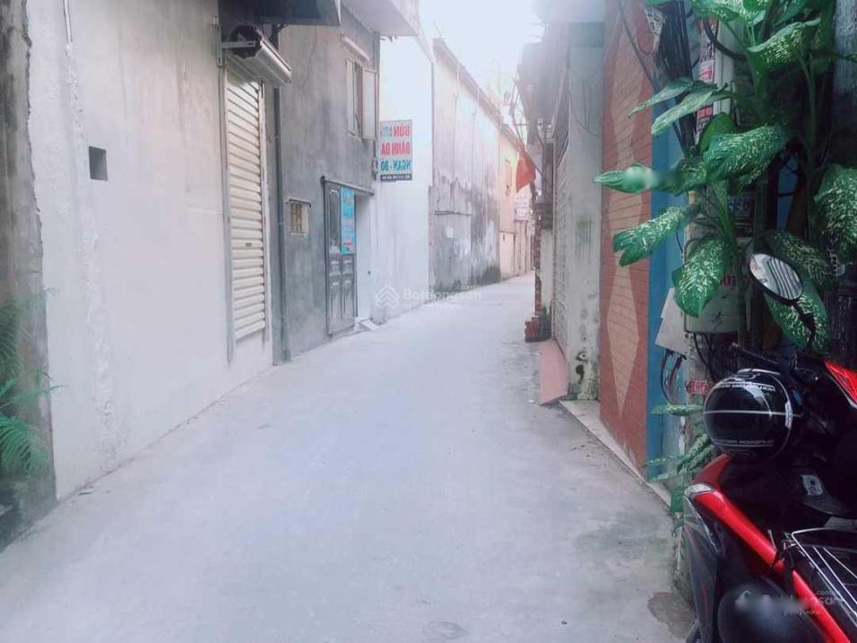 3688309 ảnh đại diện 2