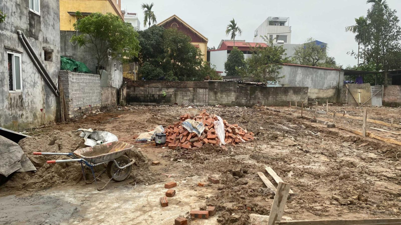 3689439 ảnh đại diện 1