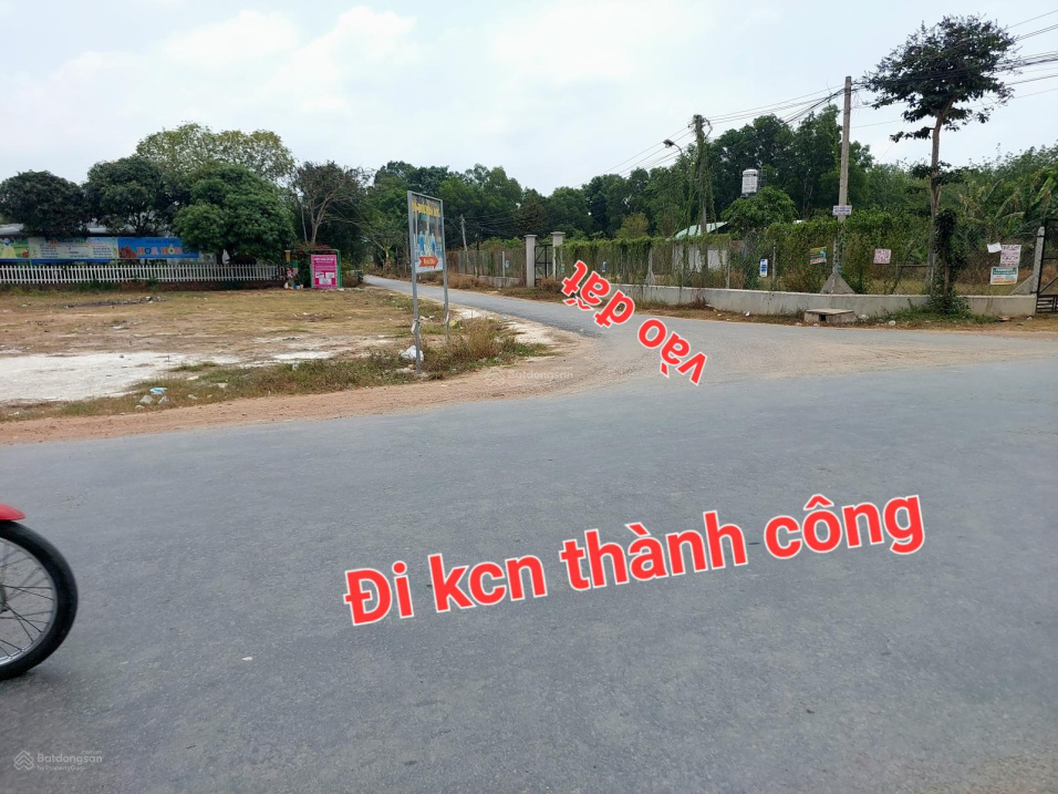 Đất Mặt Tiền Nhựa An Hòa, Tx Trảng Bàng