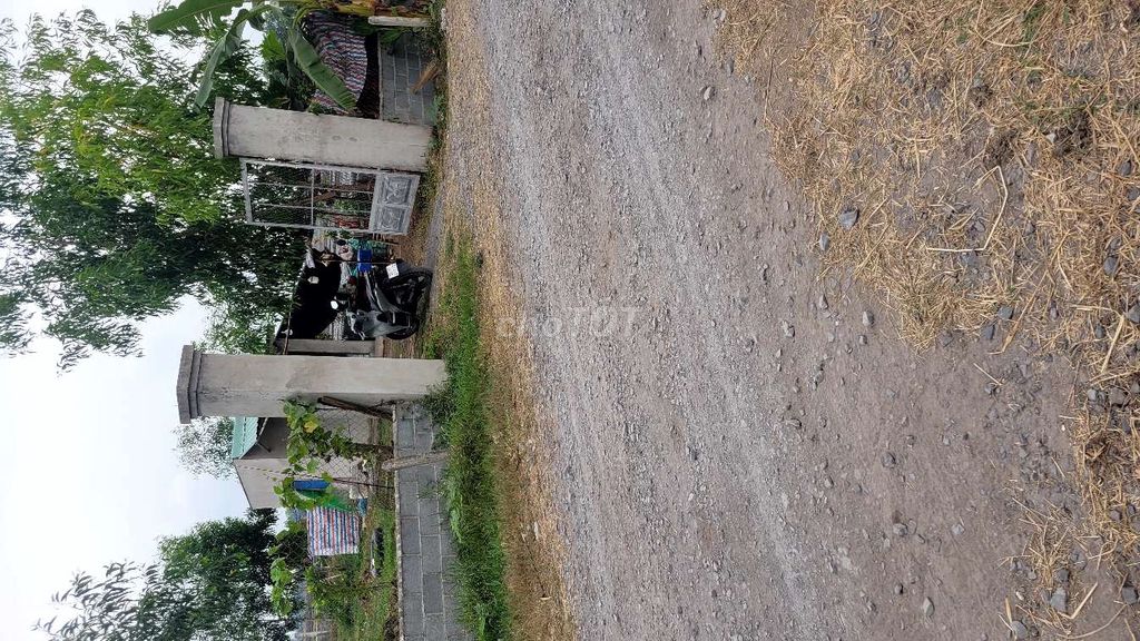 3691365 ảnh đại diện 1