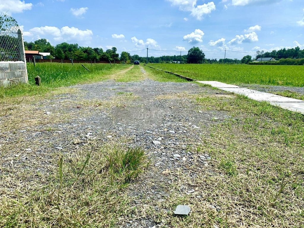 3694136 ảnh đại diện 1