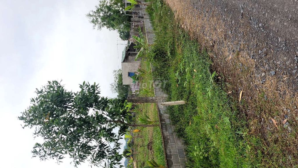 3691365 ảnh đại diện 1