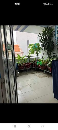 3697349 ảnh đại diện 1