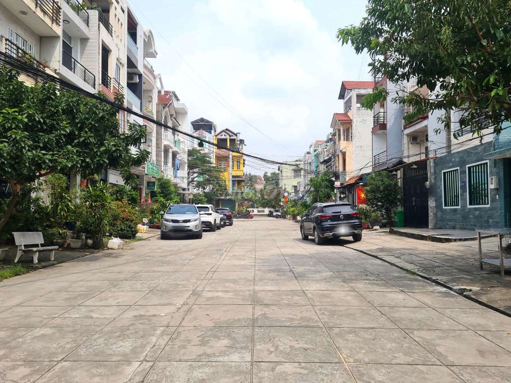 3695971 ảnh đại diện 1