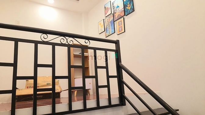 3697344 ảnh đại diện 1