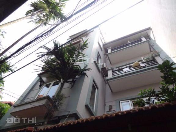 3695419 ảnh đại diện 1