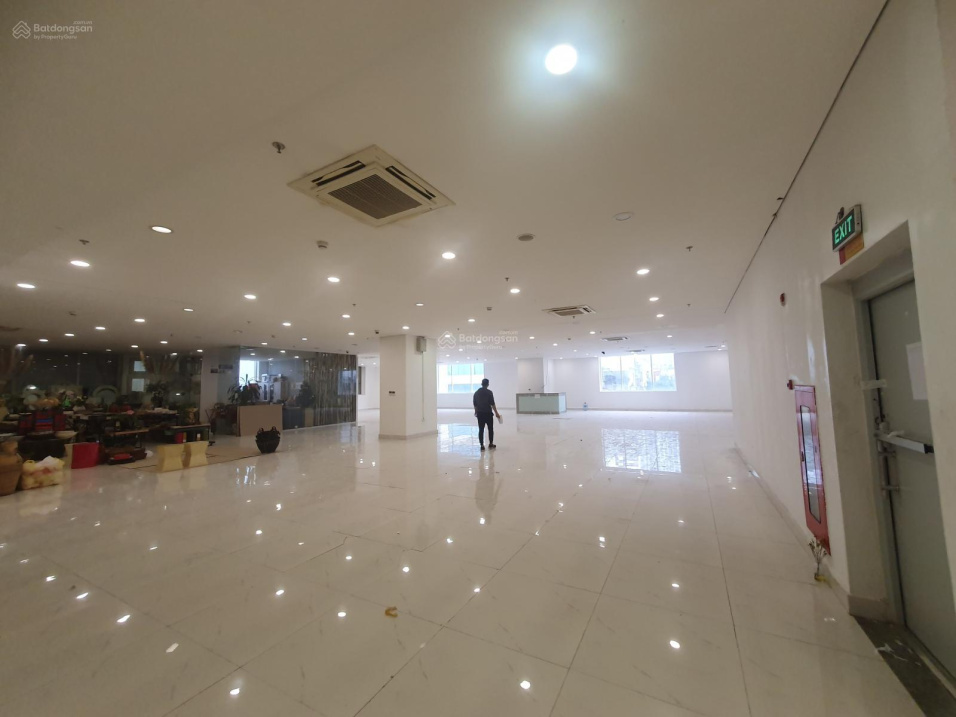 3700247 ảnh đại diện 1