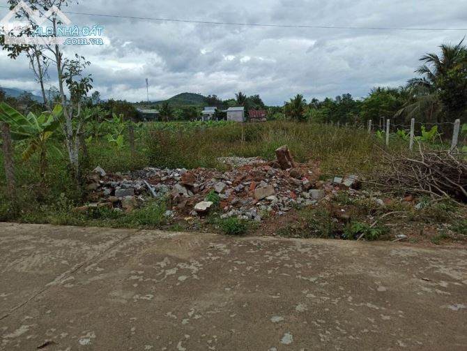 3700803 ảnh đại diện 1
