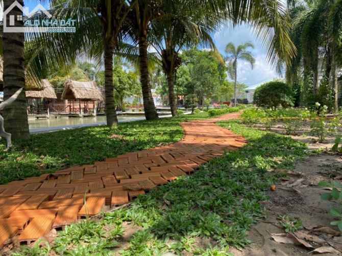3700793 ảnh đại diện 1