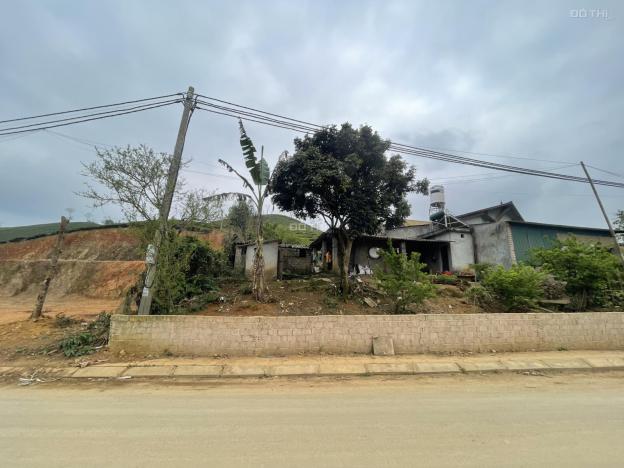 3700754 ảnh đại diện 1