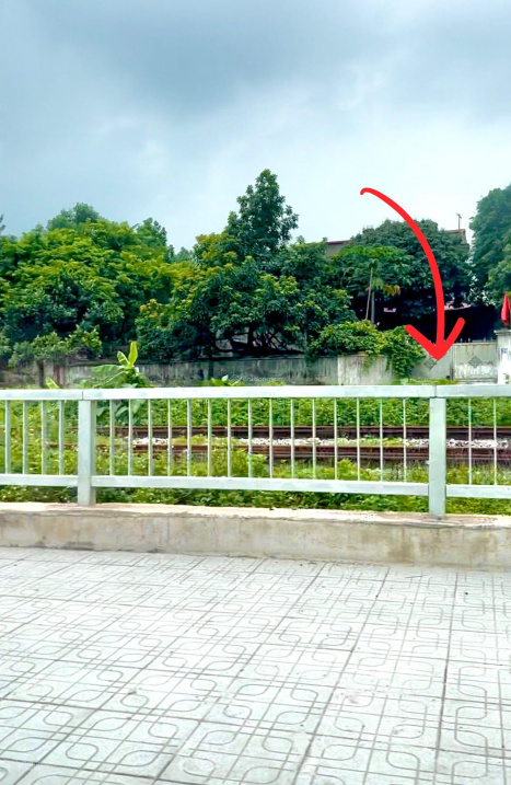 3701029 ảnh đại diện 1