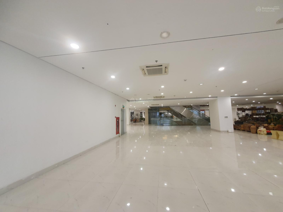3700247 ảnh đại diện 1