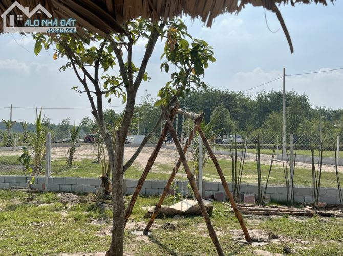 3700798 ảnh đại diện 1
