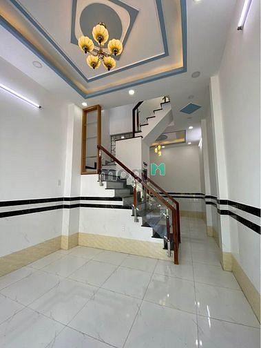 3702731 ảnh đại diện 1