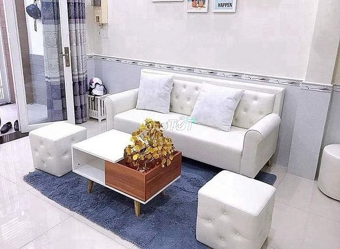 3702731 ảnh đại diện 1