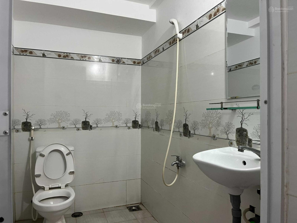 3701907 ảnh đại diện 1