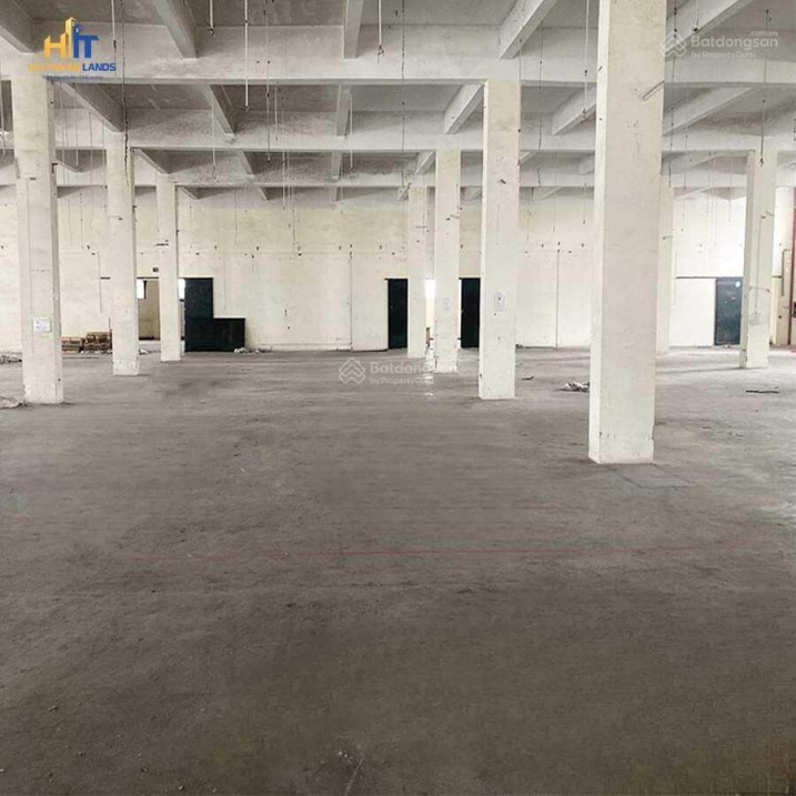 3701134 ảnh đại diện 1
