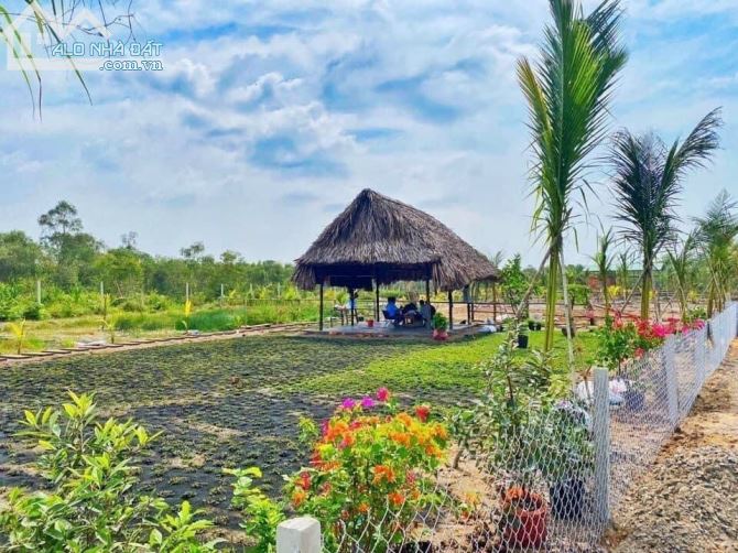 3700812 ảnh đại diện 1