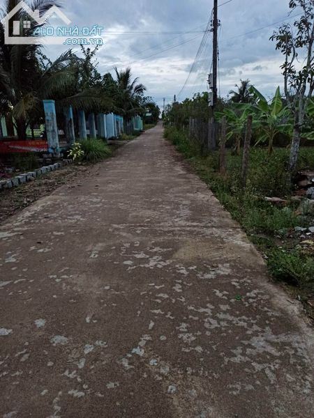 3700803 ảnh đại diện 2