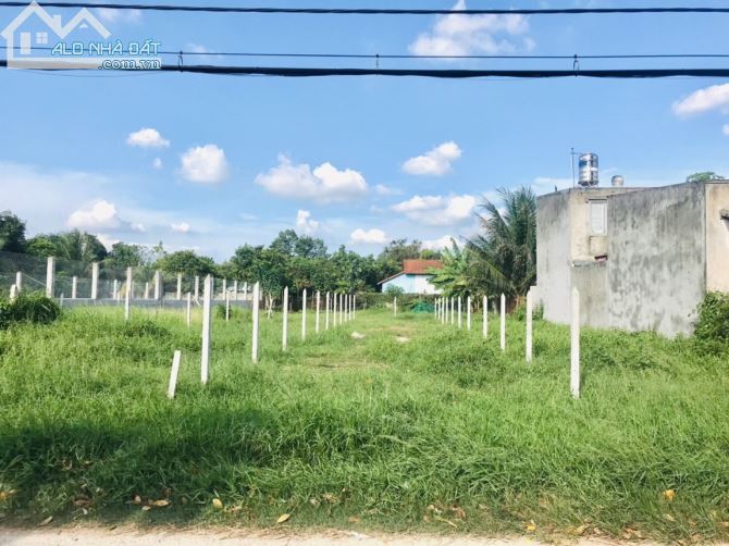 3700801 ảnh đại diện 1