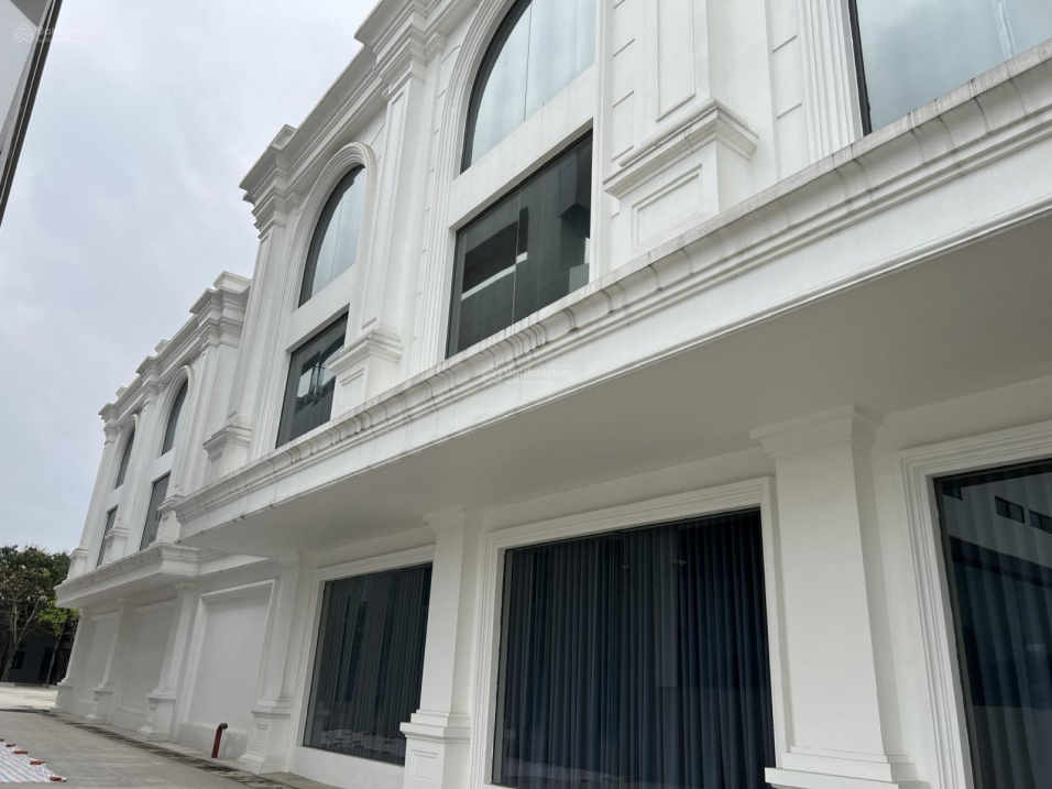 3700750 ảnh đại diện 1
