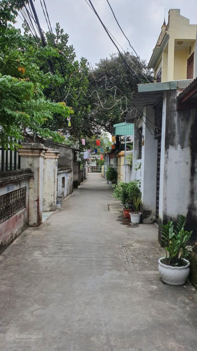 3701862 ảnh đại diện 1