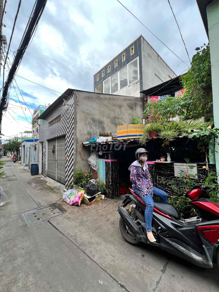 3705147 ảnh đại diện 1