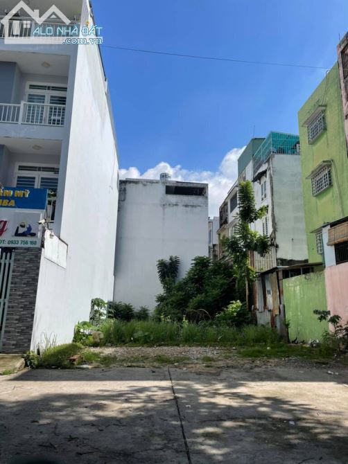 3705149 ảnh đại diện 1