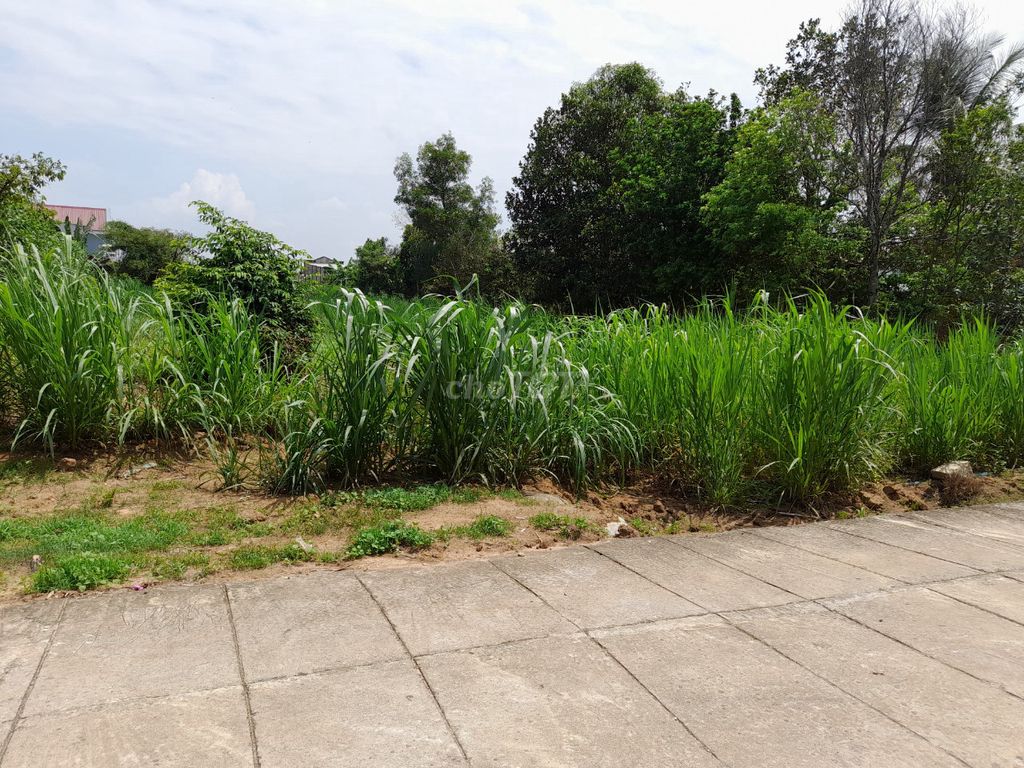 3705583 ảnh đại diện 2