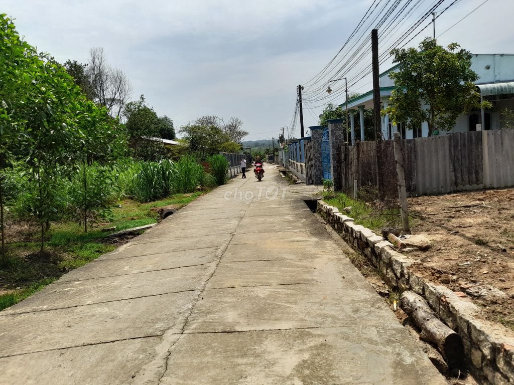 3705583 ảnh đại diện 1
