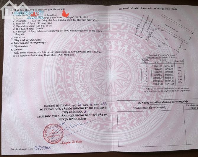 3705151 ảnh đại diện 2