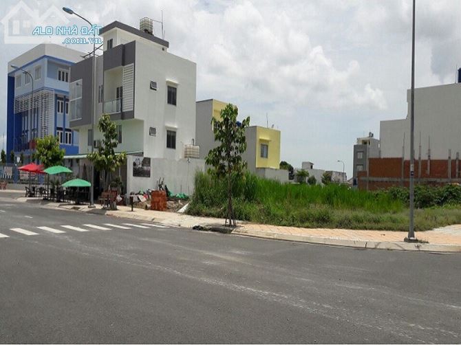 3705145 ảnh đại diện 2