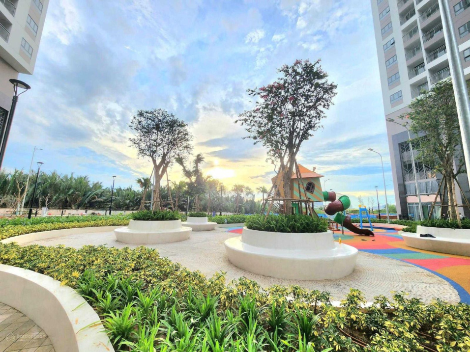 3707636 ảnh đại diện 1