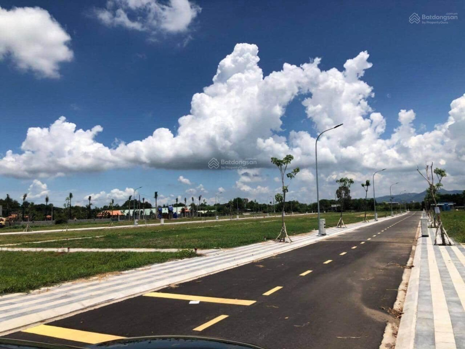 3706995 ảnh đại diện 2