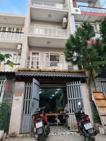 3703994 ảnh đại diện 1